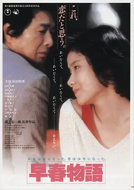 四虎影院在线观看 雾港迷城 高清海报