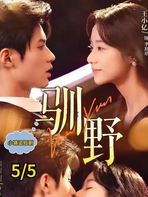 四虎影院在线观看 山海纪事 剧集海报